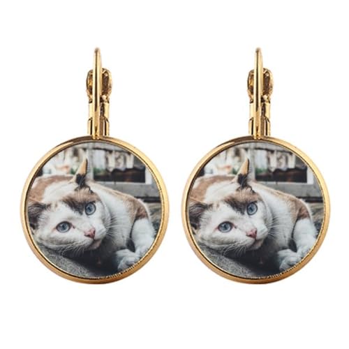 Boucles d'oreilles pendantes chat coloré à clip en or
