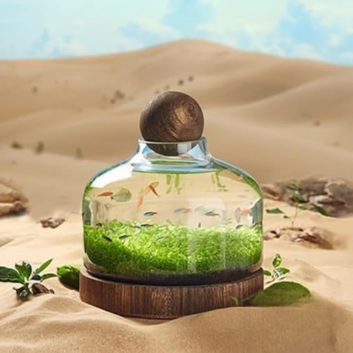 �a���̖ؐ��ꓧ�������K���X��㝂̖ؐ��󂯁A���������i�σG�R�{�g���A���k�͔|�{�g���A�K���X�ԕr�̉�����LumoLight (D)