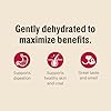 The Honest Kitchen Human Grade Wholemade™ Dehydrated Dog Food, Whole Grain Beef and Oat, 10 lb (makes 40lbs) #5