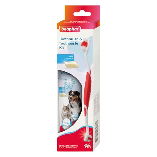 Beaphar - Spazzolino da denti e dentifricio Kit per la cura dentale per cani e gatti - Spazzola a doppia punta e dentifricio al fegato con enzimi - Aiuta a controllare placca e tartaro - 1 spazzolino