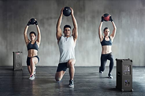 Sharp CP-LS100 SumoBox: Enceinte Bluetooth AUX, USB Noir