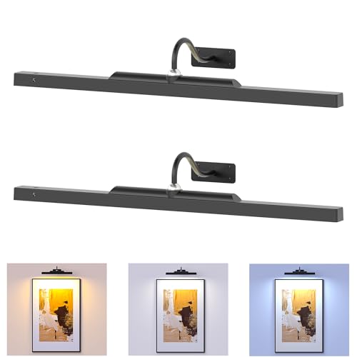 Picture Light for Wall Black, 6000mAh Rechargeable Battery Operated Gallery Lighting LED,Cordless Wireless Remote Dimmable Lighting for Art Frame(24 in, Black)