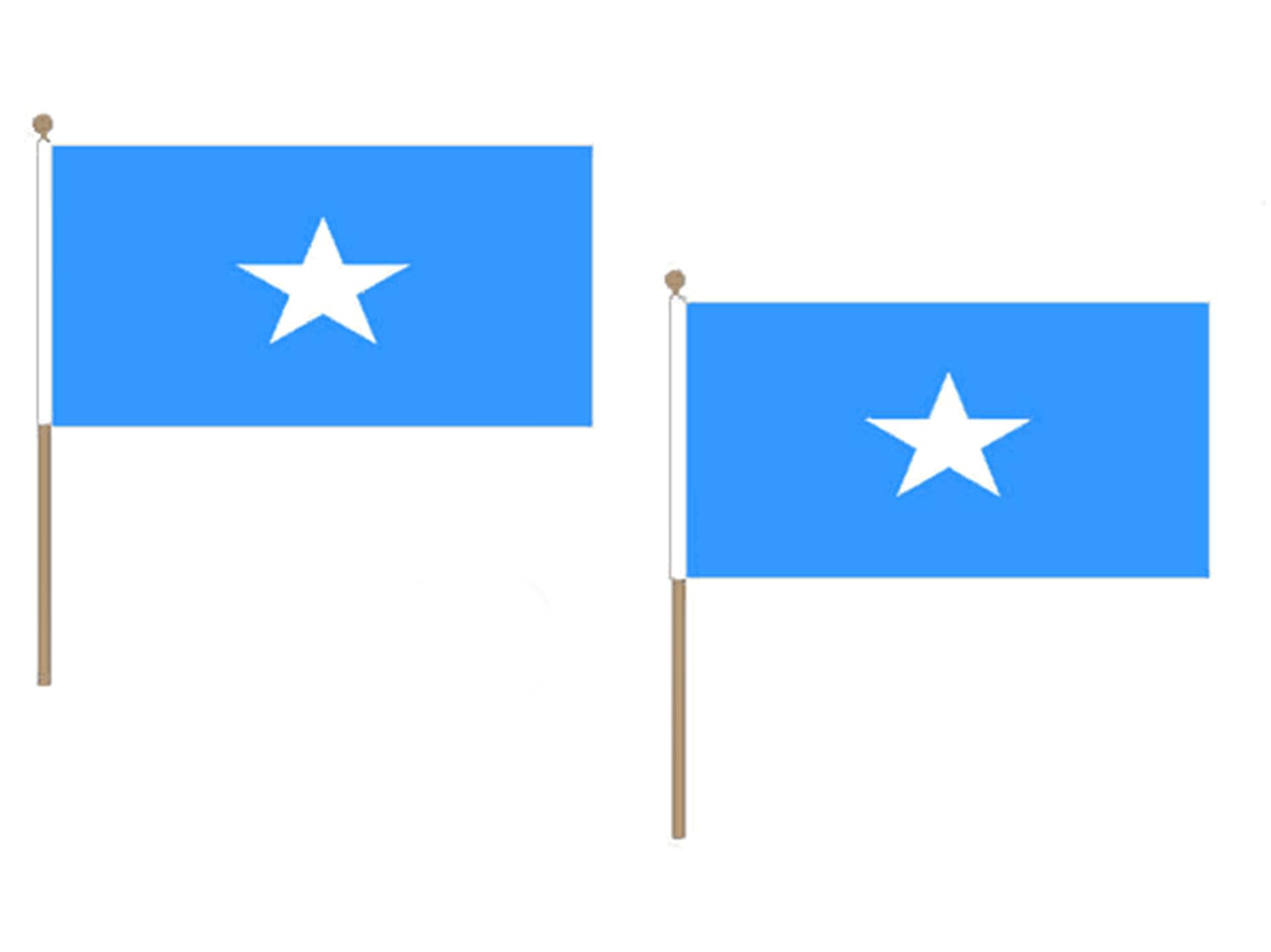 Drapeaux somalien 30 x 45 cm résistants légers montés sur hampe en bois az flag