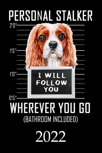  2022: Calendar Funny Cavalier King Charles Spaniel Dog Monthly Weekly Daily Planner  Cute Cavalier Spaniel Dogs Planner  Dated Week Day Month ... School Family Work & Sports  140 Sites 6x