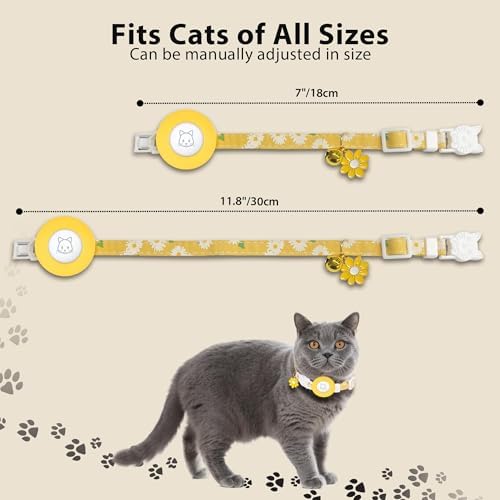 View 2