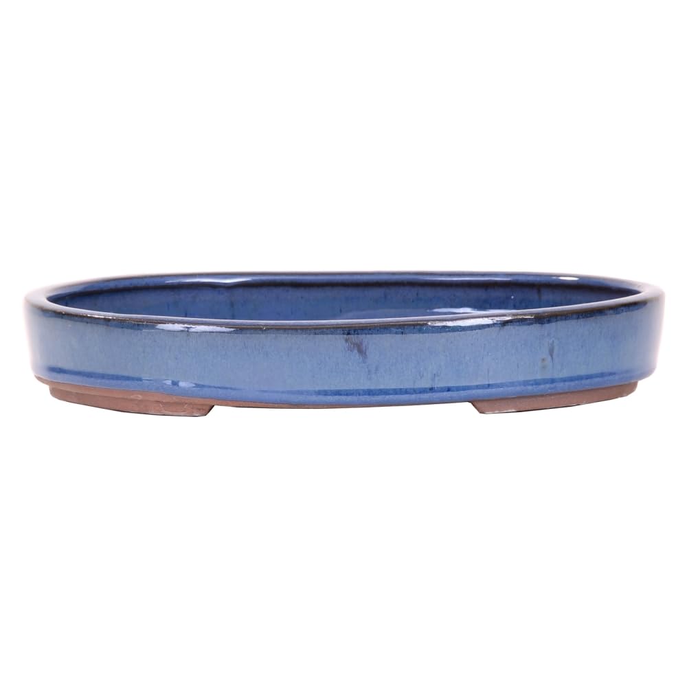 Bonsai - Schale, Waldschale, oval 25 x 18 x 4 cm blau 51008: Amazon.de:  Garten