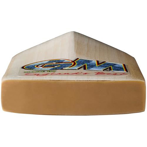 Batte de cricket junior bois naturel Gunn & Moore Rival 404 taille 32 - 7