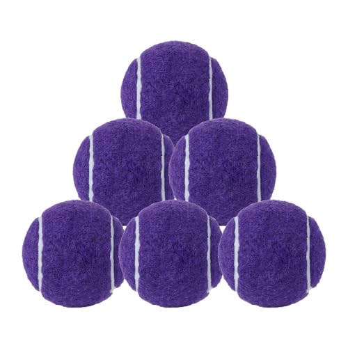 QSTDGVPW 6Pcs Tennis Balls Training Balls 6.4cm Diameter for Beginner Training for Enthusiasts Racquet Sports Activities, Purple