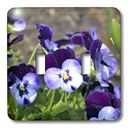 Double Interrupteur à baïonnette 3dRose lsp_51789_2 avec motif de pensées violettes