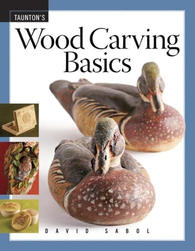 Wood Carving Basics (Fine Woodworking DVD Workshop)