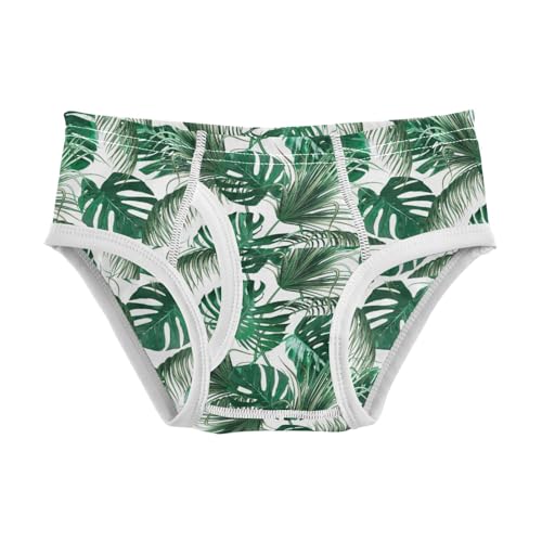 Boys' Exclusive Briefs Toddler Underwear 95% Combed Cotton Boxerbriefs 2T Lush Tropical Leaf Pattern 27