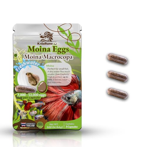 KalaRune Moina macrocopa Eggs (Water Flea) - for Hatching, Freshwater Live Fish Food for Newborn...