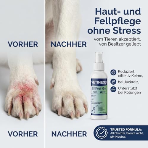vetiness EffiVet Gel - Hautspray 150 ml für Hunde und Katzen - Reinigung und Desinfektion - Alternative zu Wundgel Katze und antiseptische Wundsalbe Hund
