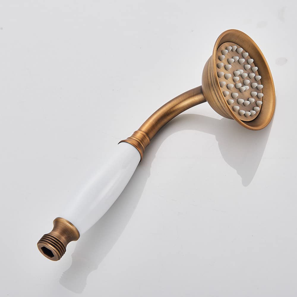 Remplacer la tête pommeau de douche à main laiton doré et nickel