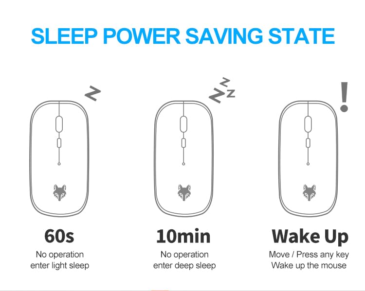 Diagram illustrating the mouse's sleep power saving states