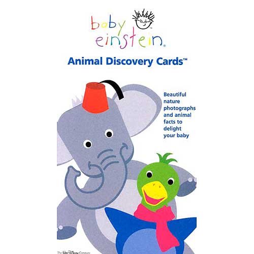 Buy Baby Einstein Animal Discovery Cards Book Online at Low Prices in