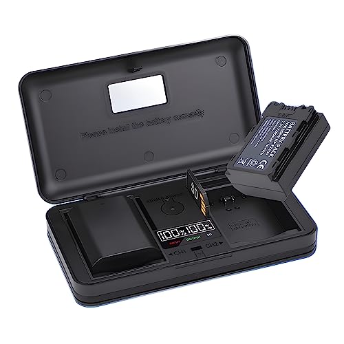 Caricabatterie Doppio Per Batterie Sony NP-FZ100 - USB-C E Micro USB, Display LCD - Foto 8