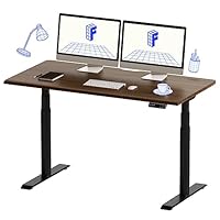 FLEXISPOT E8W 電動昇降 バンブー スタンディングデスクセット 120x60cm