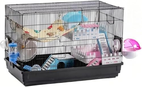 Xiraivke nX^[ P[W P[W ?l?q ԃ^Cv 傫^  Zbg 10_Zbg bg S[f[ LN}nX^[  Eh~ bNt