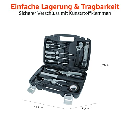 Amazon Basics Werkzeug-Set für den Haushalt, Stahllegierung, 32 Teile, Schwarz / Grau