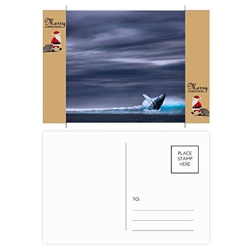 Carte Ocean Humpback Fish de remerciement Noël lot 20 pièces nature photo