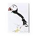 Imán para nevera Atlantic Puffin | Clare Baird | Fabricado en el Reino Unido