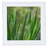 Square dimensions (in inches): 25 L x 25 W, image dimensions (in inches): 23 L x 23 W 100% poloyester; image is soft to touch. Made in USA Edges have pinking shear cut Image will not fade with washing. Image not a transfer, part of material