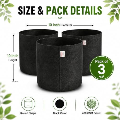 Image of Casa De Amor 400 GSM Geo Fabric Plant Grow Bag, Black 10 x 10 Inch Pack of 3, Round Fabric Pots for Terrace, Balcony, Flowers & Vegetable Gardening