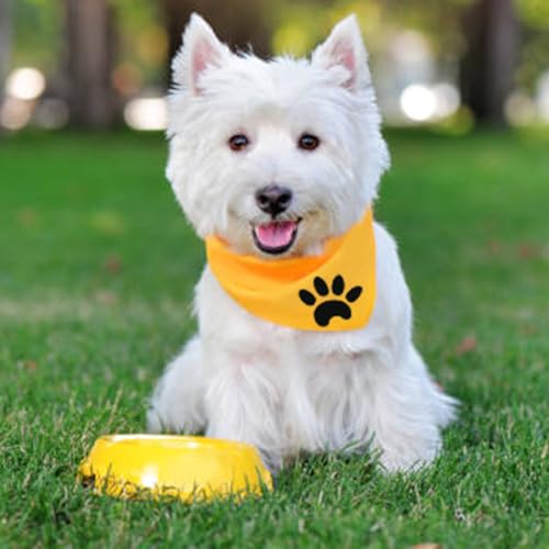 Bandana personalizada para cães – Cachecol bordado personalizado para animais de estimação com nome,