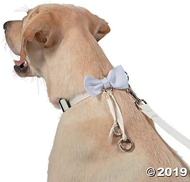 Dog collar ring holder Clearance