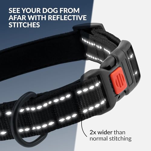 CollarDirect Reflektierendes Hundehalsband für kleinen, mittelgroßen, großen Hund, Welpen mit Schnellverschluss, Hündin, Rüde, 48 Sorten, Nylon Wasserfest