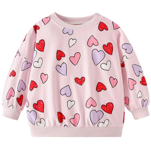 Image of Hongshilian Unisex Kids Cute Cartoon Cotton Sweater Shirt