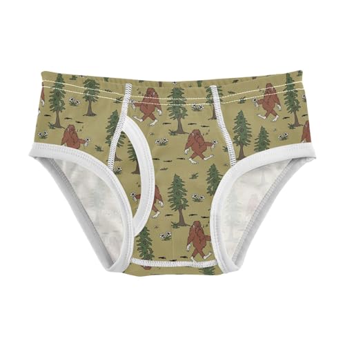 Little Boys Briefs Bigfoot Sasquatch Soft Cotton Toddler Underwear in Sizes 2/3t, 4t, 5t, 6 and 8