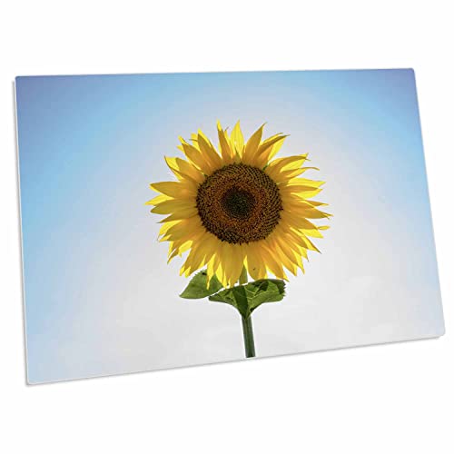 3dRose FotografÃ­a De Un Girasol - Alfombrilla Escritorio