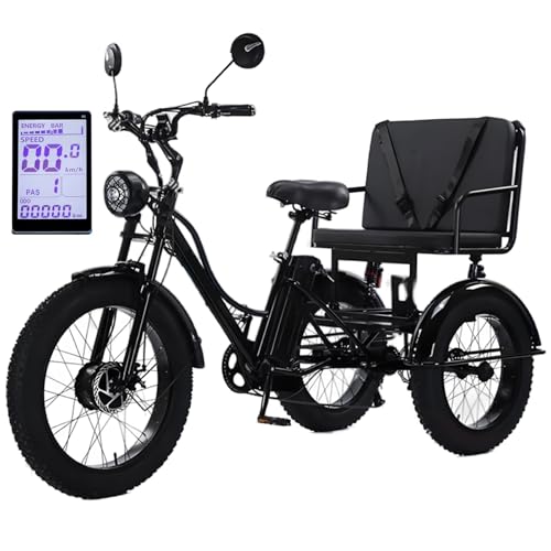 Triciclo elettrico per adulti a 3 ruote con pneumatici larghi, adatto a tutti i terreni.
