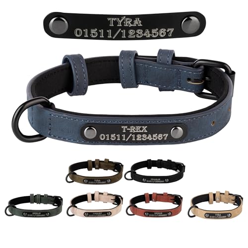 Jacks O Be Hundehalsband Halsband Name Gravur personalisiert Haustier Hund Katze Leder (Blau, M)