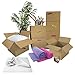 Uboxes Moving Boxes 1 Room Bigger Moving Kit - 14 Boxes Plus Supplies & Tape, Brown Kraft