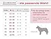 LASALINE Hunde Zuggeschirr X Back für Canicross Hundesport Dogscooter Bikejöring Schlitten in Schwarz Neonorange
