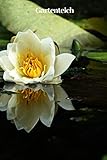  Gartenteich: Notizbuch für Gartenteichliebhaber und Naturfreunde - 120 leere Seiten kariert zum selber ausfüllen und gestalten