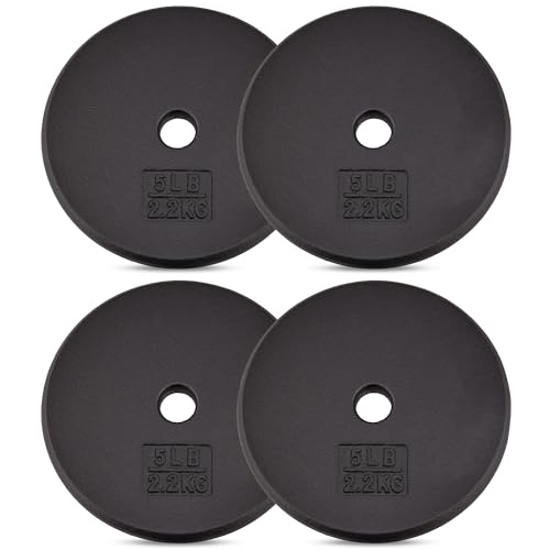 Yes4All 5LB Standard Cast Iron Plate
