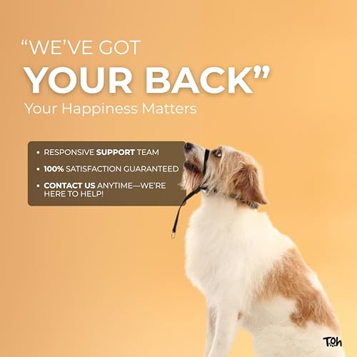 Coleira Cabresto GG Lilás