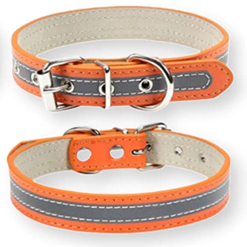 [LaLUCA GOODS]   L v  X^_[h PU U[ Vv ˑf ^ ^ hbO U Jt IW M