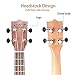 Hricane Concert Ukulele 23 inch UKS-2, 4 Strings Ukeleles For Beginners, Sapele Hawaiian Ukele with Ukulele Case and Ukele String Set (Concert Sapele)