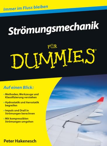 Strömungsmechanik für Dummies