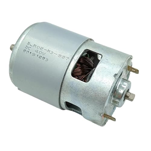 Moteur RS887 couple élevé double roulement pour outillage performant 36V