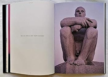 Hardcover Lys og Refleksjoner . (Light and Reflection ) Book