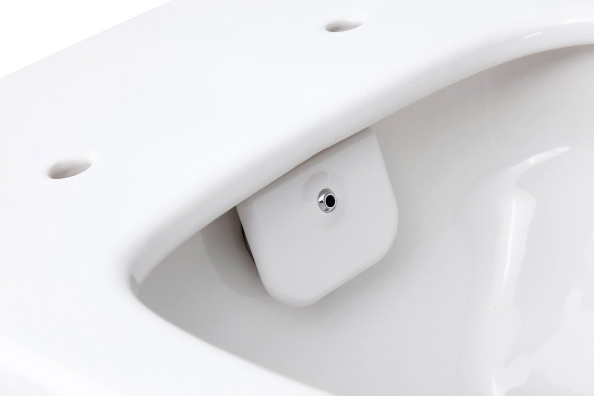 Swiss Aqua Technologies | WC japonés sin bridas con bidé termostático | Tapa blanda | 57,5 x 36,5 x 40 cm | Fácil instalación