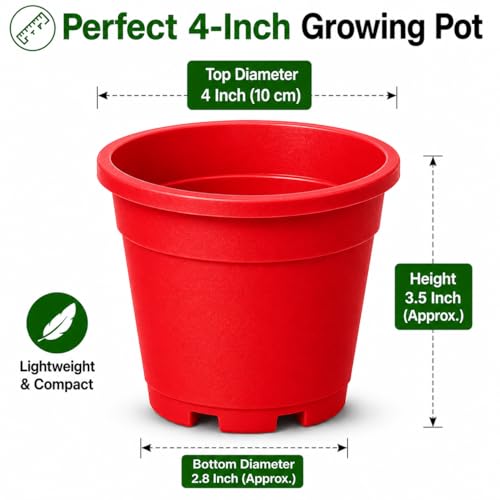 Image of Indian Gardens - 4 inch Indoor (Pack of 10) Plastic Small Colour pots | Plastic Plant Pot for Terrace Garden (Red)