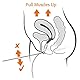 Neen Periform Intra-Vaginal Probe, Pelvic Floor Stimulation, Strengthens Muscles, Contoured Electrodes for Comfortable Stimulation, Pelvic Strengthener