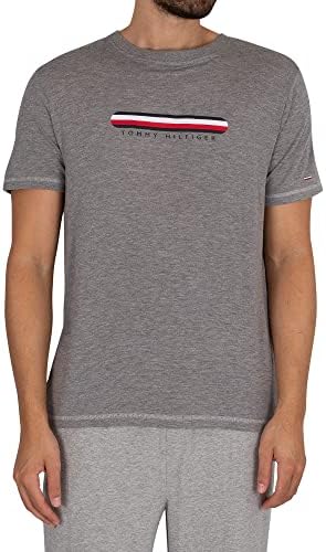 Les Meilleurs T-Shirts Homme Tommy Hilfiger : Style et Qualité